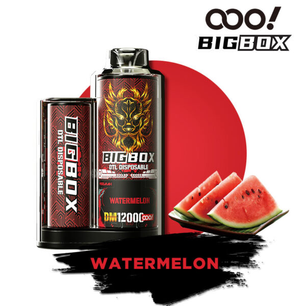 OOO! BIGBOX DTL/DL E-papierosy Jednorazowe Vape POD Shisha 12000 Puffs 25ml Regulowany przepływ powietrza i akumulator do ładowania